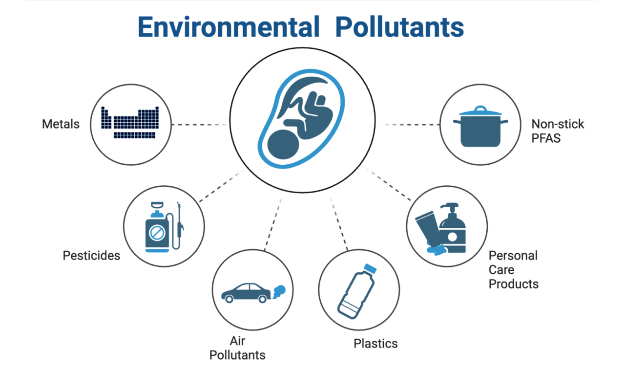 Environmental Health and Molecular Epidemiology | Columbia University ...