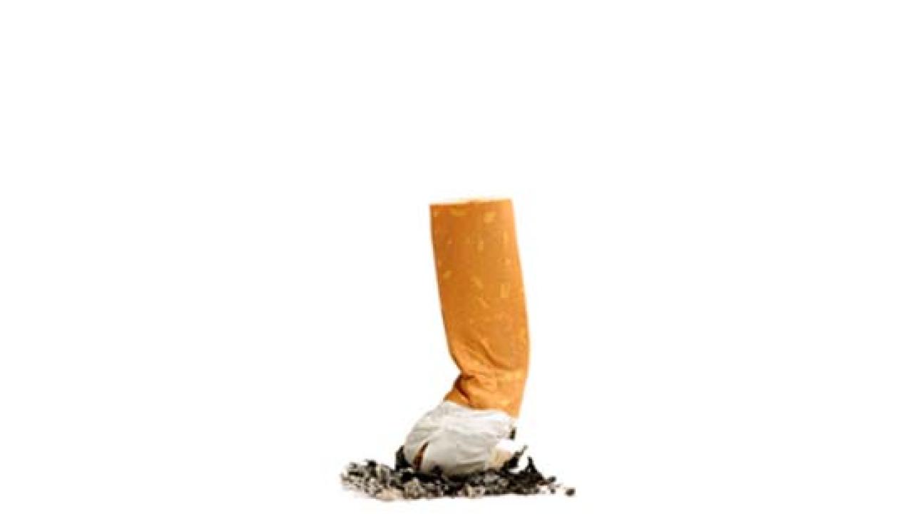 Nicotine “Primes” the Brain for Cocaine Use