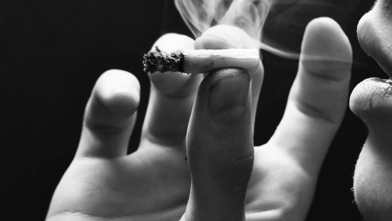 alcohol beverage and tobacco Information for Wisconsin Alcohol Beverage and Tobacco Retailers by City of  Stoughton