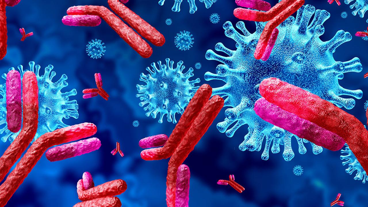 www.publichealth.columbia.edu