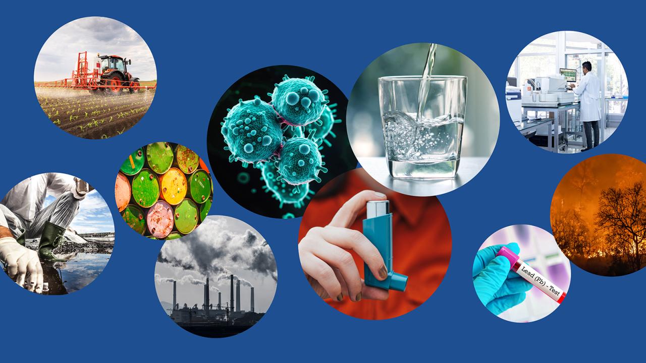 Environmental Health Scientists at Leading Universities Launch Video Series Environmental Health Scientists at Leading Universities Launch Video Series