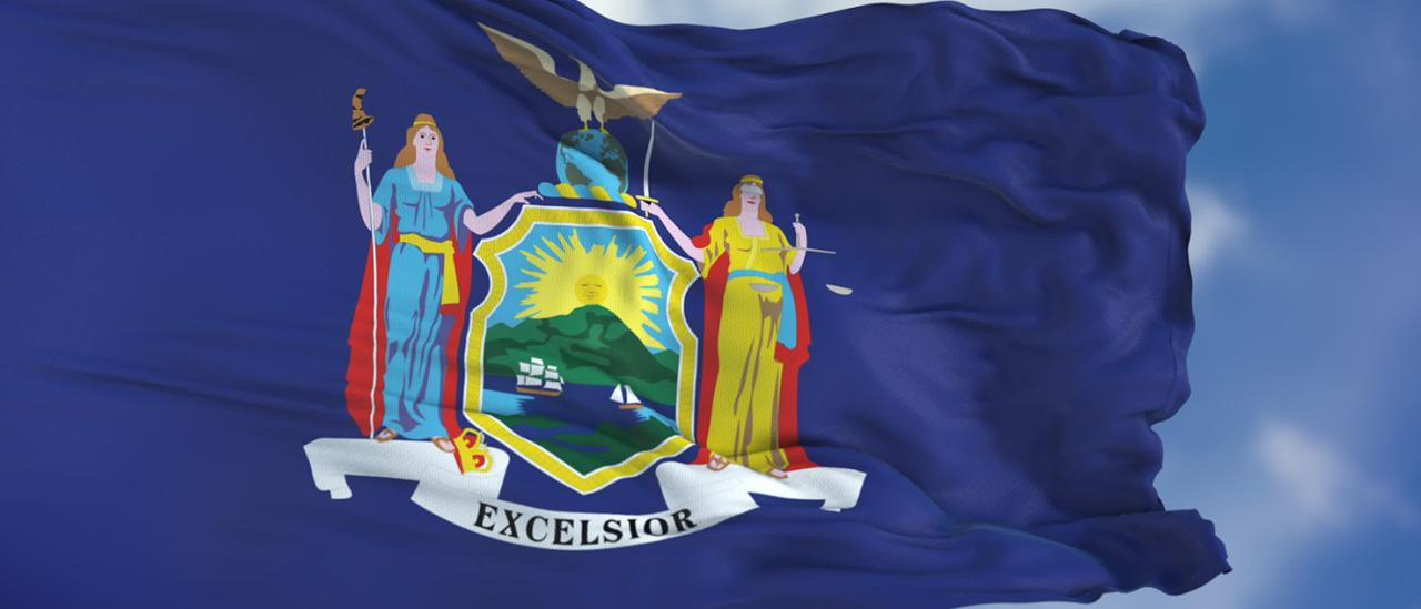 A New York State of Health