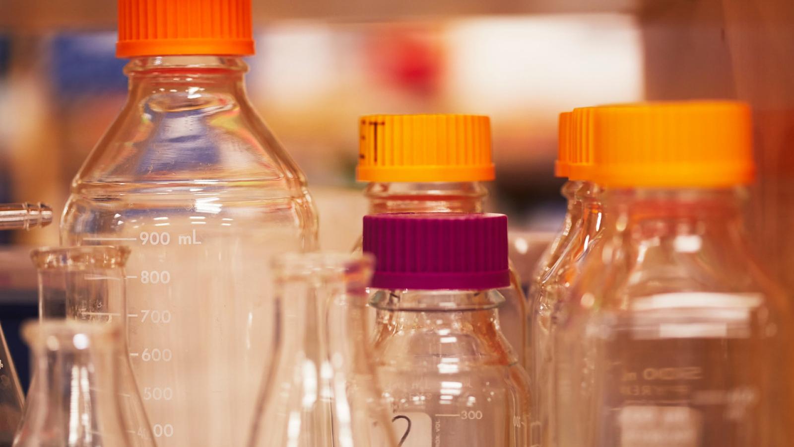 Environmental Exposures and Health Columbia University