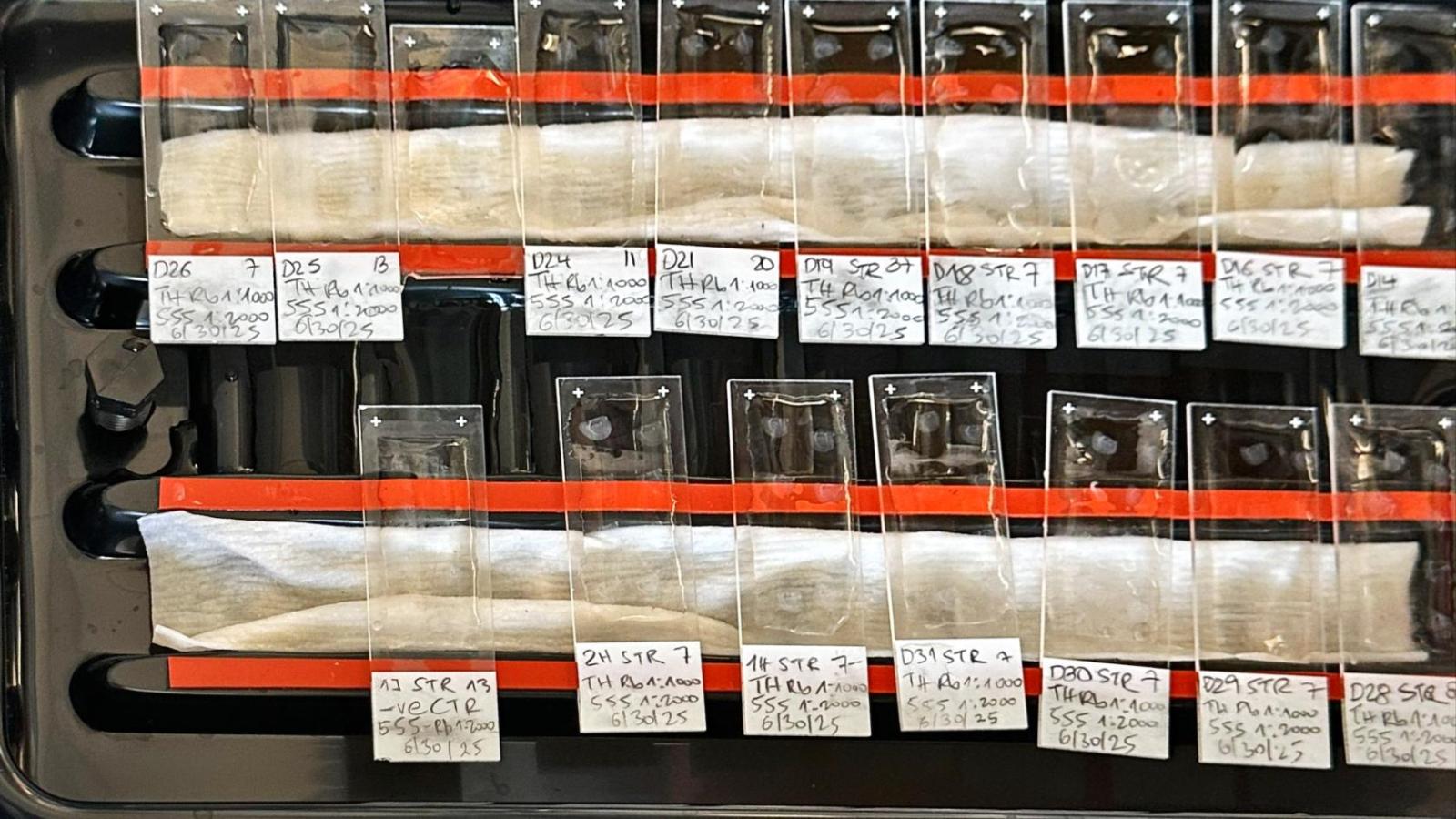 Samples being held in storage