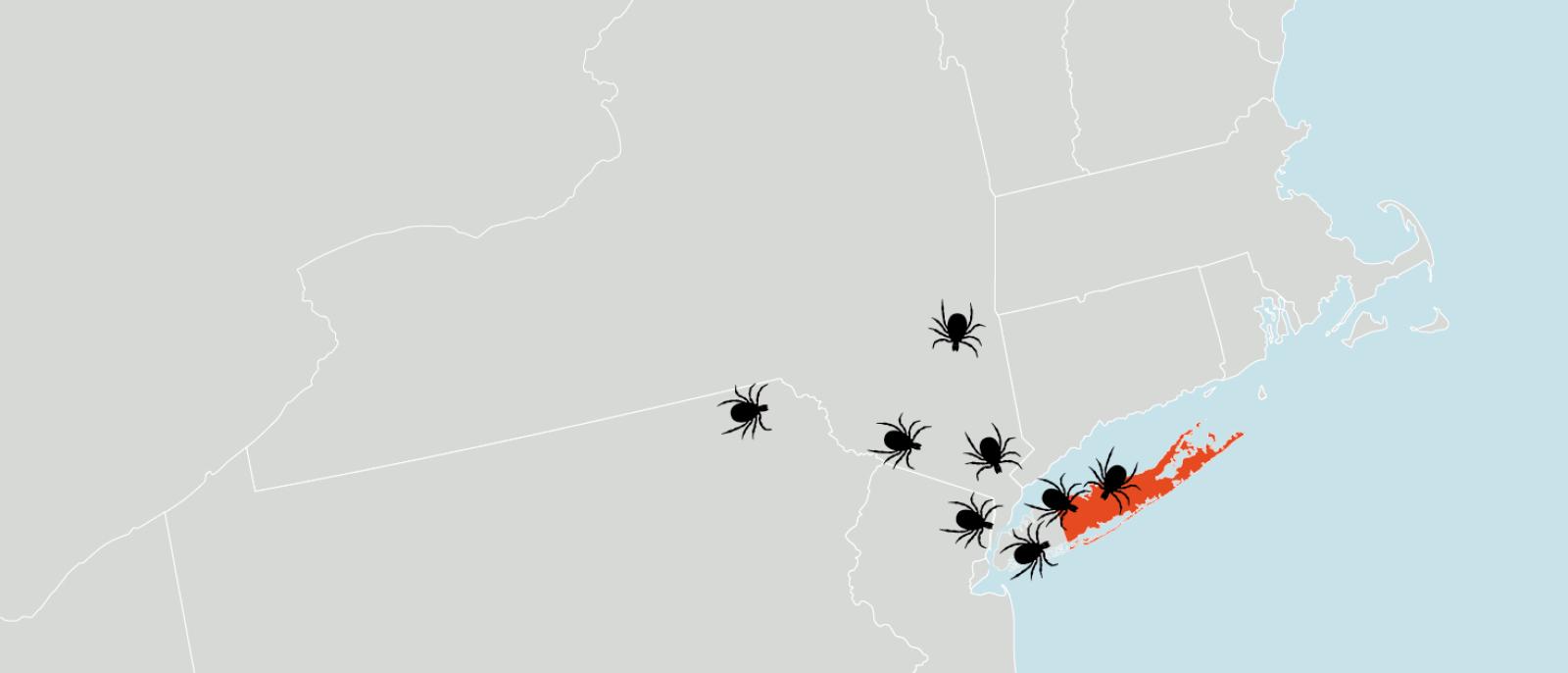 More Than Lyme: Study in Long Island Finds Multiple Agents of Tick ...