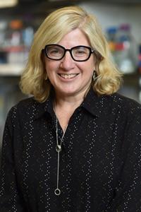 Mary Beth Terry, PhD Profile Headshot