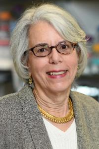 Regina M. Santella, PhD Profile Headshot