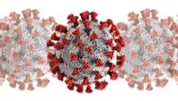 Electron microscope view of COVID-19 virus