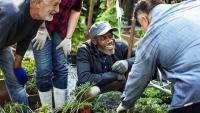 Community members working in a garden