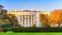 The White House with autumnal trees