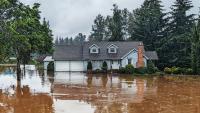 A  photo of a house in the middle of brown water