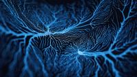3D rendered image of Neuron cell network on black background