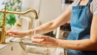 Pregnant female taking drinking water from tap