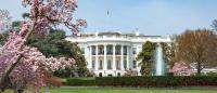 Photo of the White House and law showing spring flowers