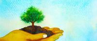 A watercolor illustration of a hand holding a tree in soil on a blue background