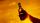 A backlit hand and arm holding a beer bottle to the sky
