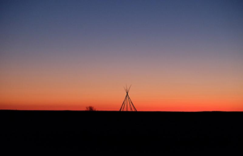 puma x buffalo suede women's sneakers